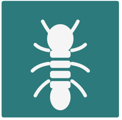 Diagnostics termites